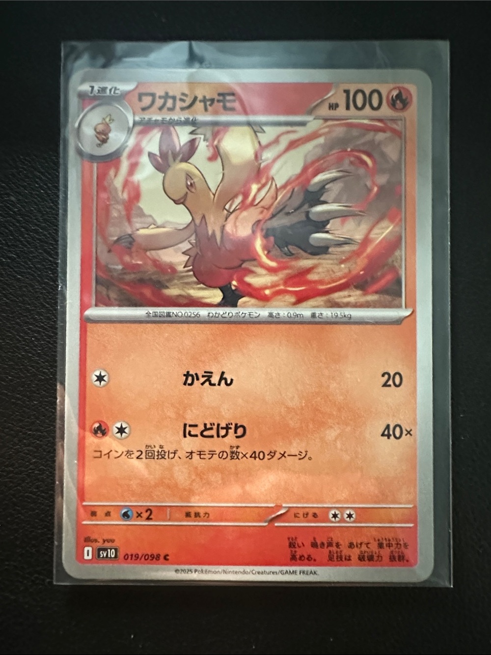 Fire-Red Bird Pet Card Sleeve - Orange